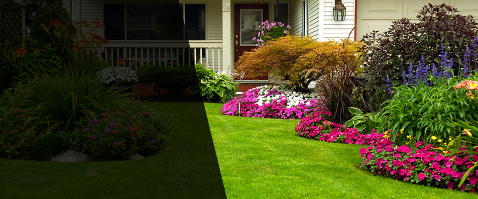 Denton Landscapers