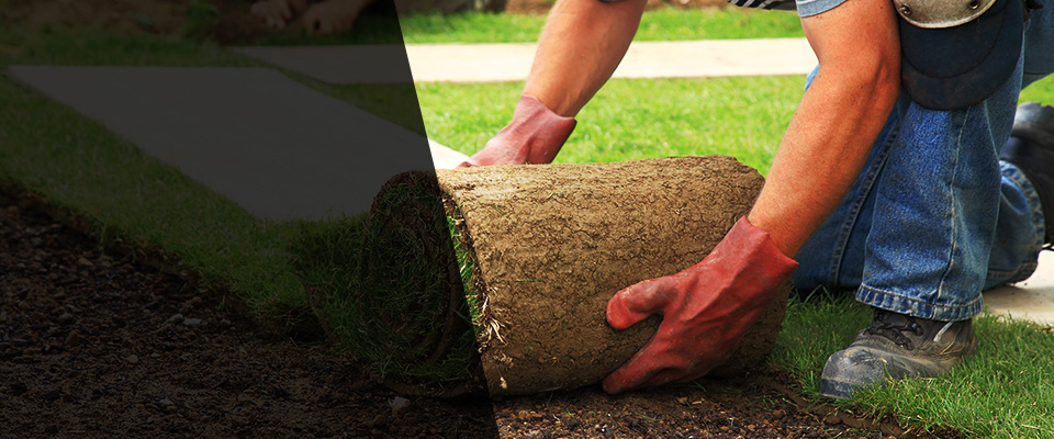Denton Landscapers